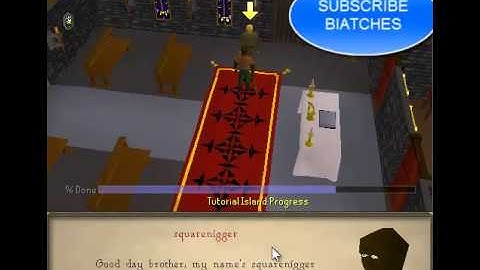 Tutorial Island Glitch (Hidden Racism) 2007 Scape
