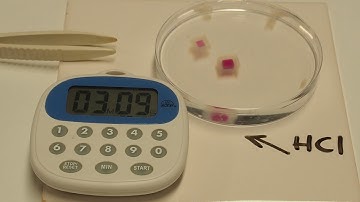 Diffusion 1 : Surface area and volume  IGCSE Biology