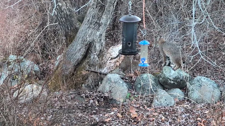 PXL 20251128 122213212