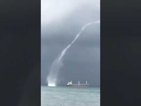 شاروق بحري في ضبيه