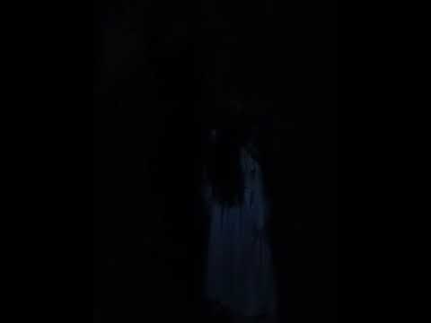 kuntilanak tertakap jelas di jalur holing kaltim