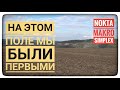 В этом году на этом поле мы первые. Поехали искать серебро. Коп в Карпатах. Коп по монетам. Симплекс