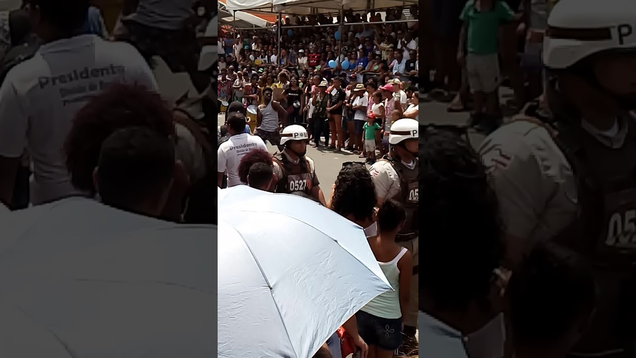 Som do timbal percusao a melhor