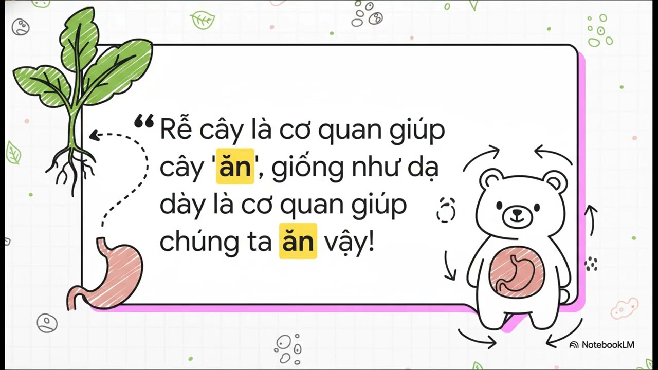 Bài 23. KHTN6. Tổ chức cơ thể đa bào.