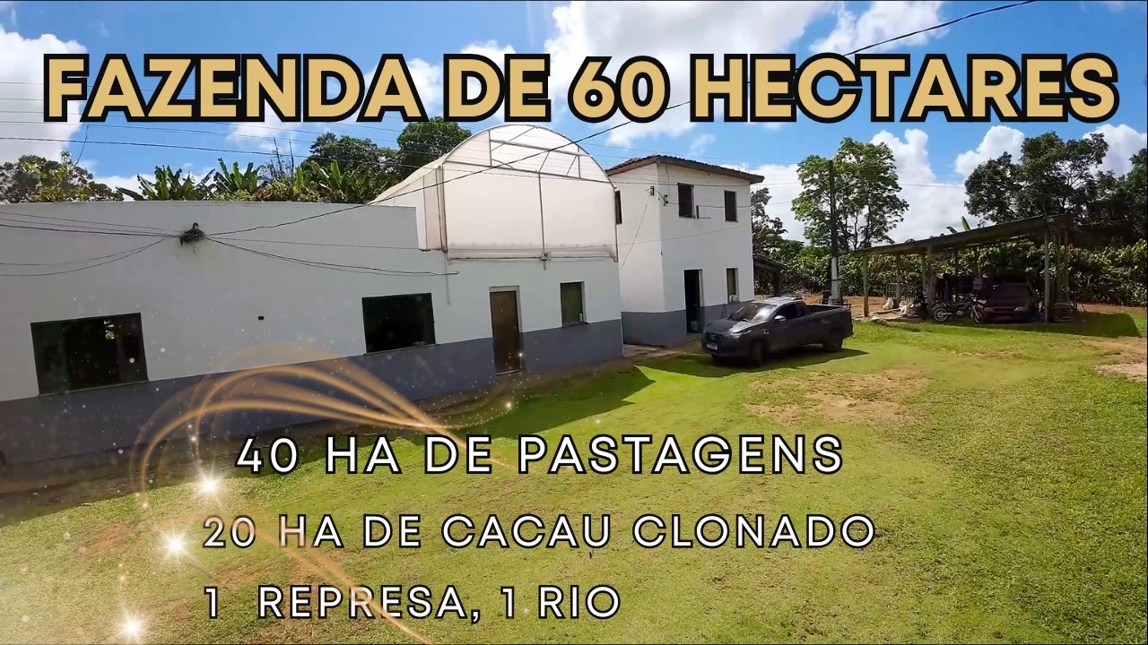 🐂 Fazenda de 60 hectares. Pastagem e cacau🍫. R$ 1.800.000,