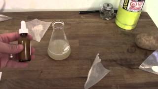 Your Home Yeast Lab Made Easy - Making Agar Plates