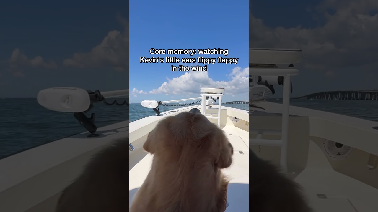 Watch my dog ride a boat 