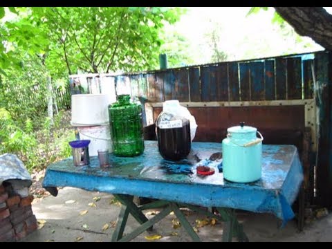 Отжимаем СУСЛО из МЕЗГИ из ВИНОГРАДА АЛЬФА. Добавляем сахар и воду