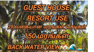 73///ECR SIVAM PROPERTIES 1acre4cent farm land guest house resort use price cent 1,40,000negotiable