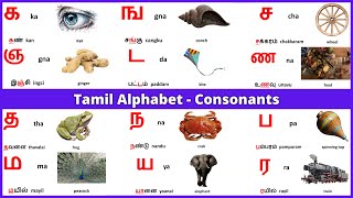 Tamil Alphabets | Tamil Consonants | Learn Entry