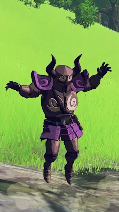 Weird armor design choices in Zelda BotW