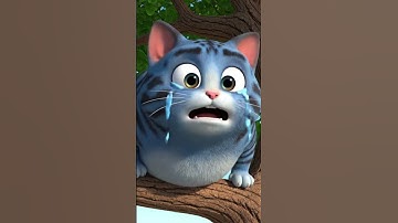 How the cat that climbed the tree became frustrated and couldn