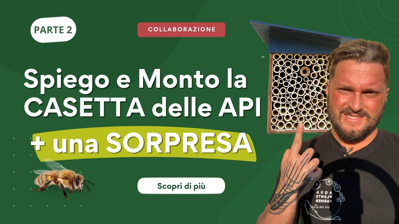 ALLEVARE API in Casa: Spiego e Monto la Casetta delle Osmie + Sorpresa Finale | Adotta Polly Pt 2