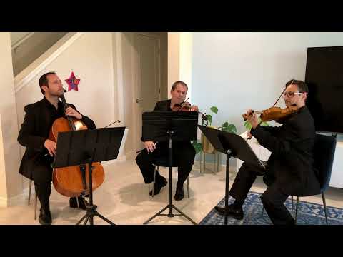 Sunset Strings' string trio performs Canon in D