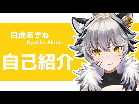 【自己紹介】おーっす。白虎あきねだぞ！【新人Vtuber】