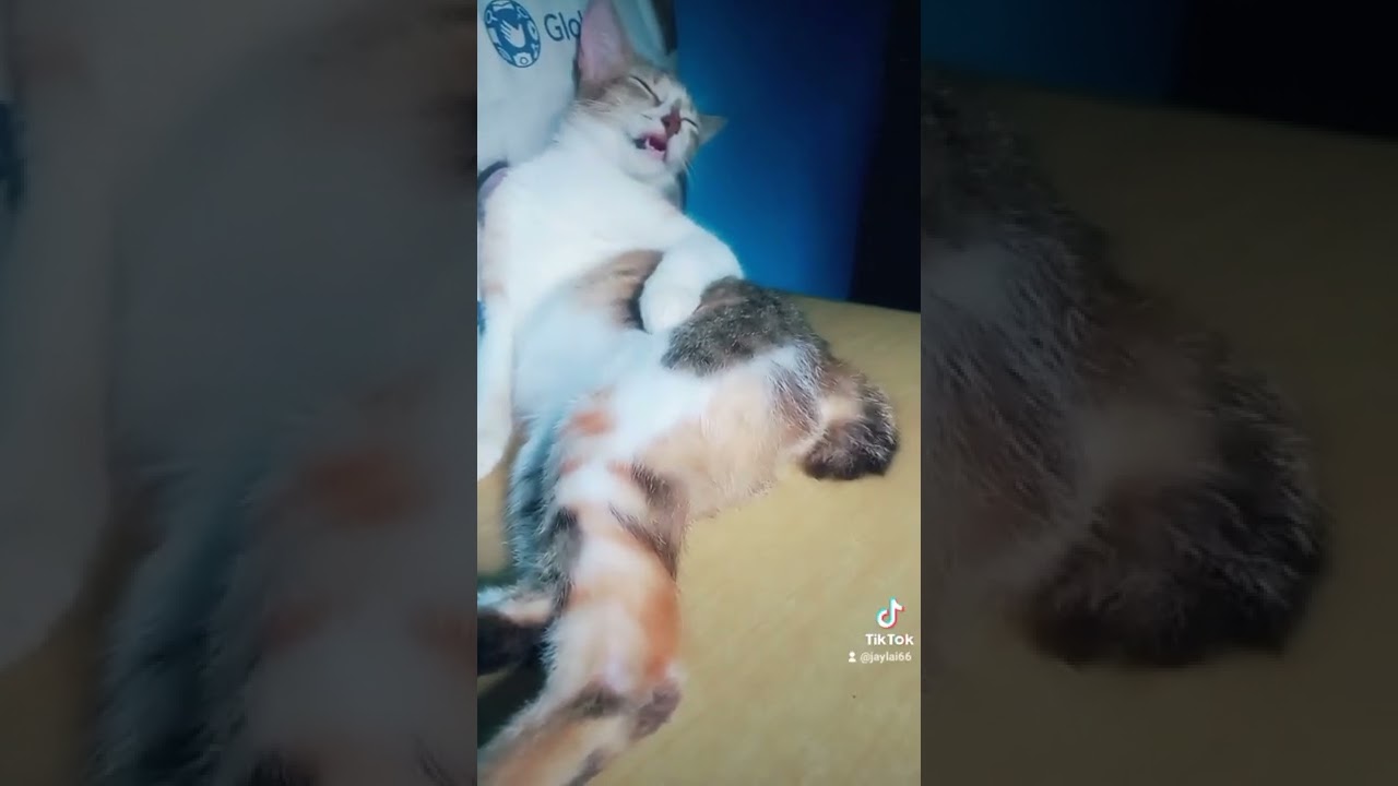 yahay c pichie.hilik pa yern😍😍🥰🥰😘