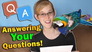 Q&A About Emily and Ed! (We're just reptile nerds...)