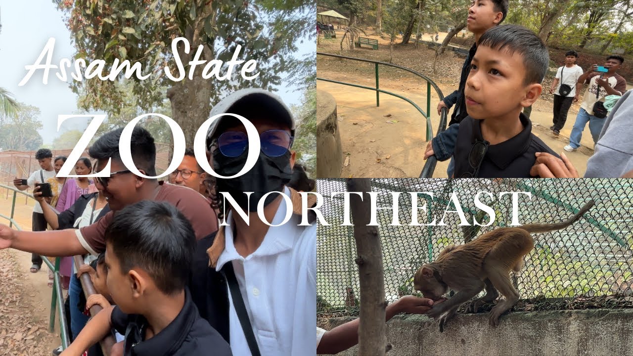 Family Zoo Roramna Reangtoka Da·alde.