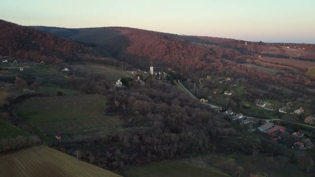 FRUSKA GORA 1.1.2026. 