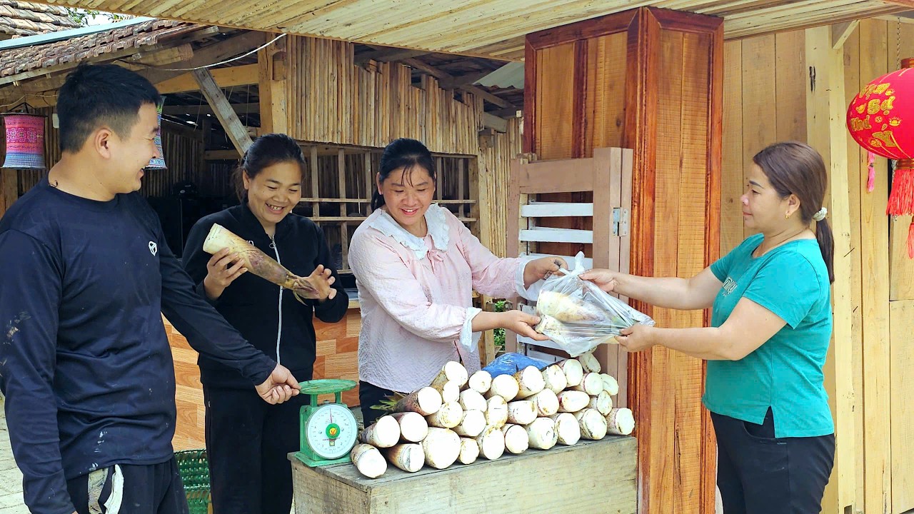 DAU Harvesting giant bamboo shoots. TU Selling them for good luck at the beginning of the year.