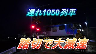 2020/01/15 午後5時台貨物列車4本 普電からもろに爆風!! 遅れ1050レが来た!!