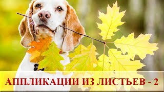 Поделки из сухих листьев для детей ☂ Осенние аппликации