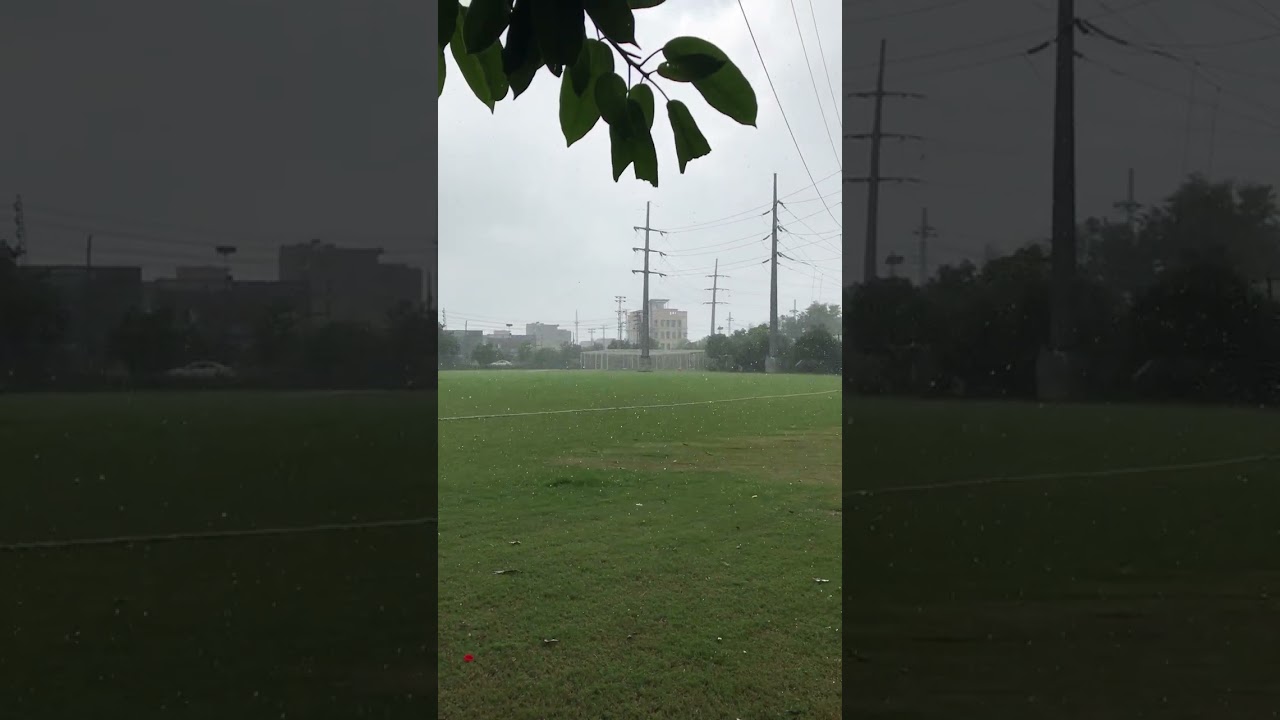 Rain stopped play 
