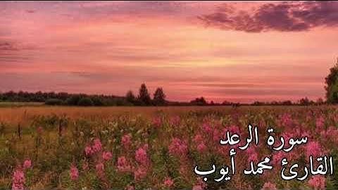 سورة الرعد من آية ١٩ إلى نهاية السورة          القارئ محمد أيوب رحمهُ الله
