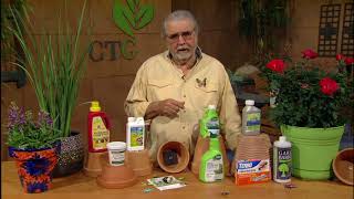 Fungal Disease And Pest Control John Dromgoole Central Texas Gardener