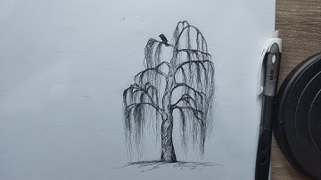 How To Draw Willow Tree, Step by Step Easy Tutorial
