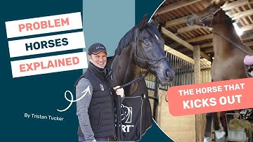 The horse that KICKS OUT | Problem Horses Explained | S1E2