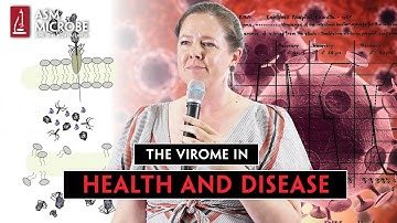 The Virome in Health and Disease