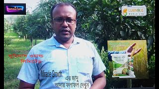Miracle Growth ব্যবহার করে আদা চাষের সাফল্য Luminous World Ltd