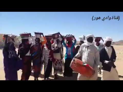 قناة وادي هور 