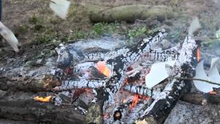 The Burning of Twilight (Original)