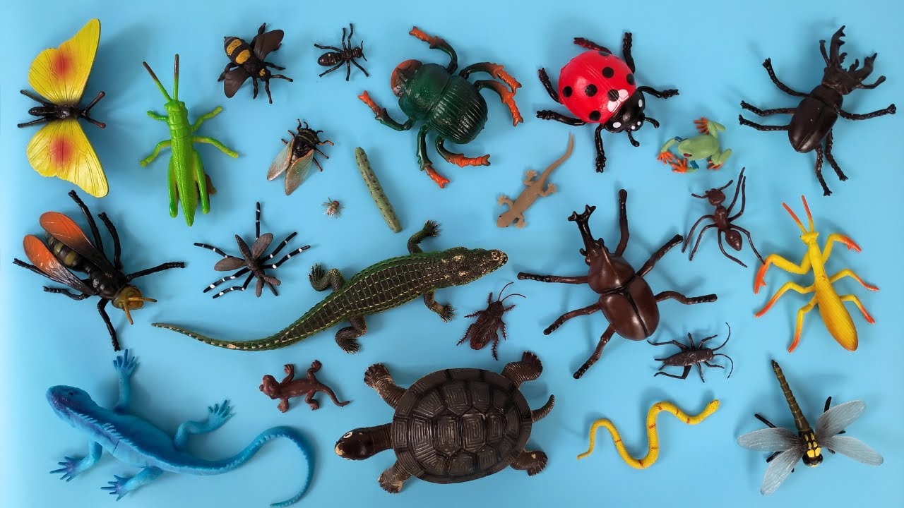 Suara Serangga dan Reptil, Tonggeret, Nyamuk, Lalat, Tawon, Jangkrik, Lebah, Belalang, Kura-Kura