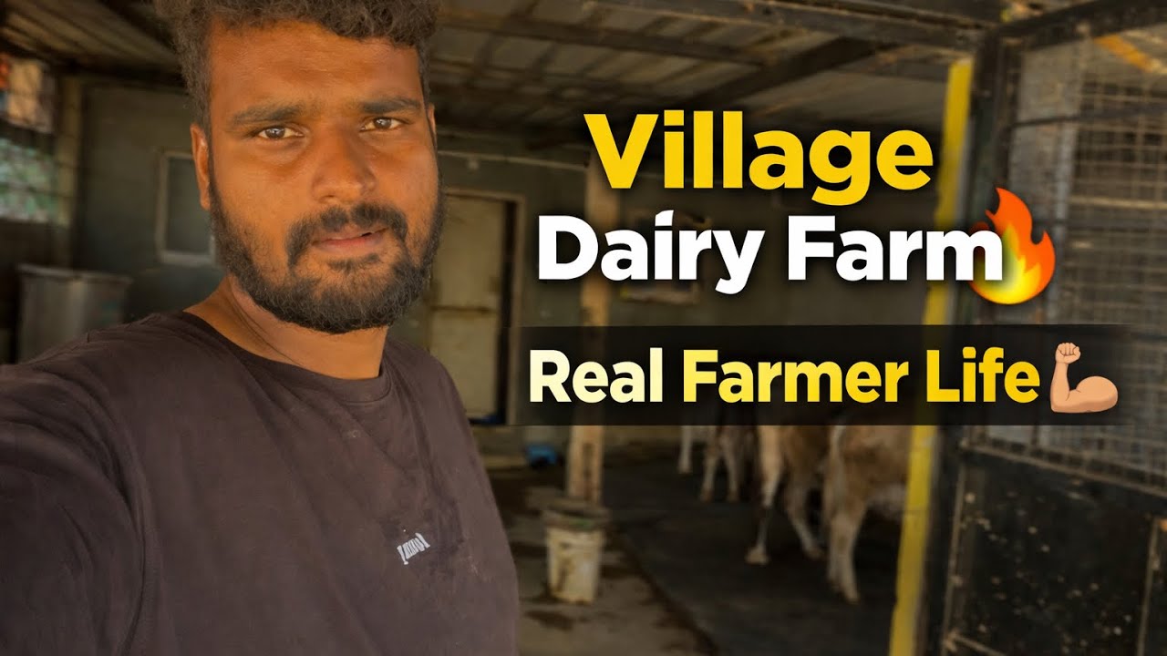 	🐄 Namma Dairy Farm Life | Daily Routine Full Video | Fresh Milk Business 💪