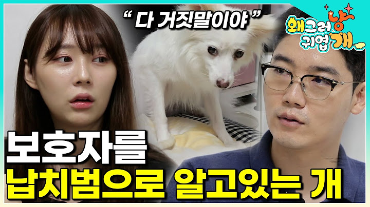 "이대로 두면 죽을지도 모른다" 100마리가 넘는 개들과 함께 생활하다가 죽을 위기에서 구해진 여리 하지만 너무 긴 시간 동안 인간을 믿을 수 없게 되었다│#왜그러냥귀엽개
