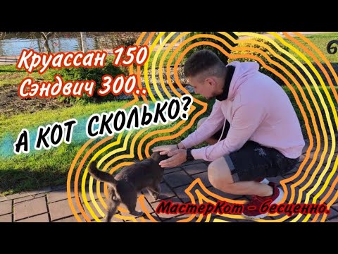 Сочи парк отель зимой | обзор ресторанов и цен | Сочи Адлер сейчас 2022-2023