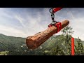 Forestry Trailer KRPAN GP 8 DF with Forestry Crane KRPAN GD 6.6 K and GD 7.6 K