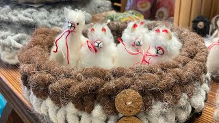 Welcome to the farm’s gift shop by Gulf Breeze Alpaca Ranch & Lodging 41 views 1 year ago 1 minute, 1 second