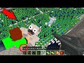 ZOMBI VÁROS HARDCORE TÚLÉLÉS A MINECRAFTBAN!