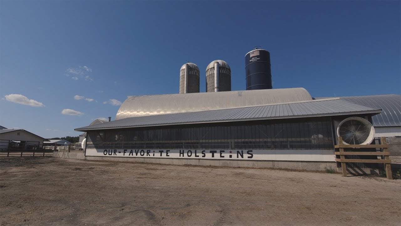 Unlimited Potential: Our-Favorite Holsteins