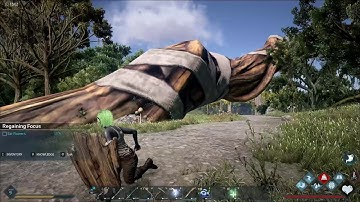 Dark and Light #3 | Vendors