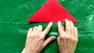 Origami Fish