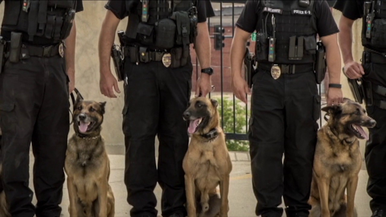 City of Wichita WPD K9 Officer Rooster Memorial Service YouTube