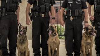 City of Wichita - WPD K-9 Officer Rooster Memorial Service