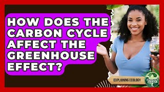 How Does The Carbon Cycle Affect The Greenhouse Effect? - Explaining Ecology