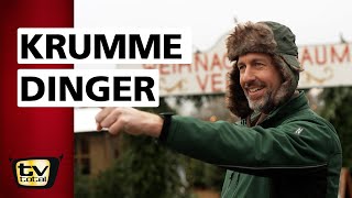 Download Lagu Ein Herz für Bäume | TV total MP3