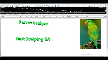 Parrot Scalper - The Best Scalping EA - MetraTrader MT4 { 0.5% Risk achives 100% Monthly }
